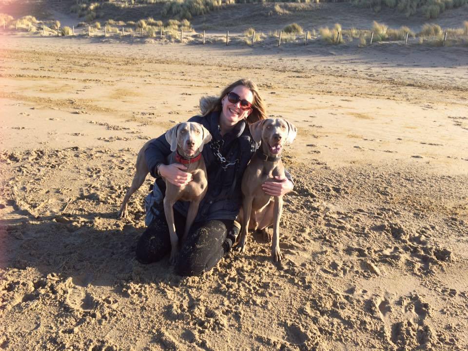 Over AnimalCribs AnimalCribs Trimsalon