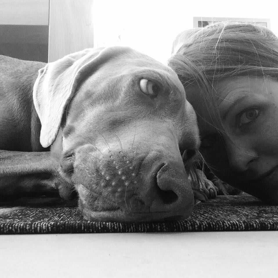 Over AnimalCribs AnimalCribs Trimsalon