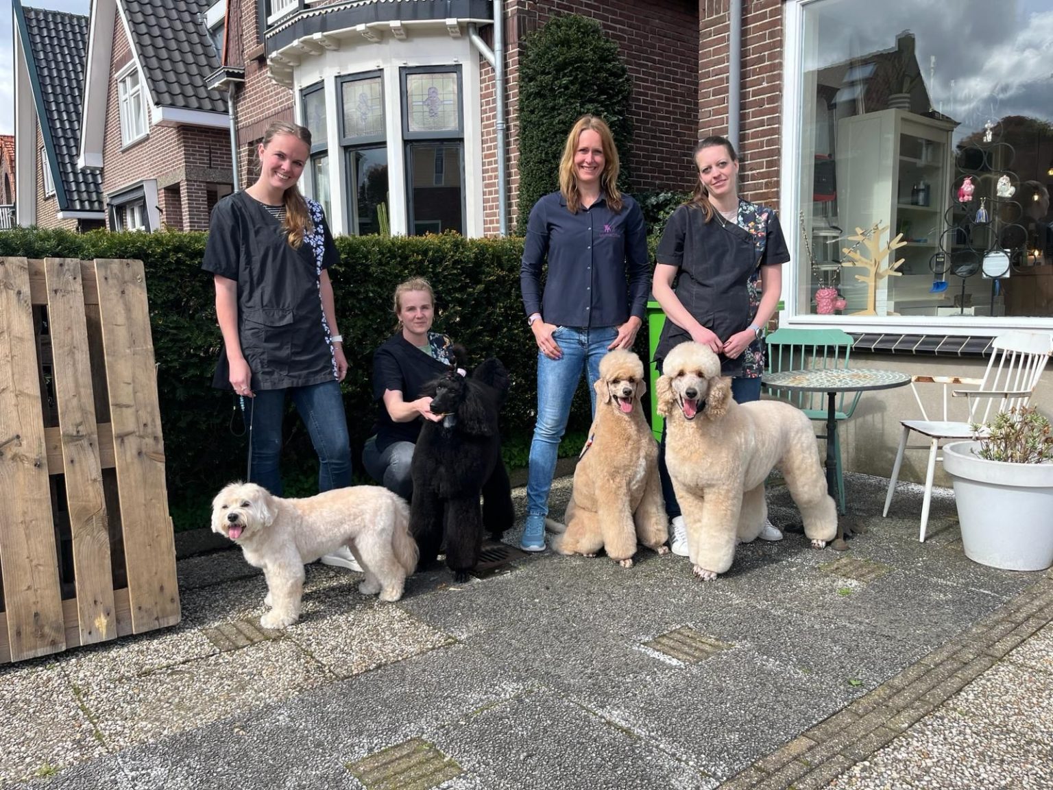 AnimalCribs Trimsalon Dé trimsalon voor jouw viervoeter!